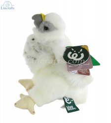 Soft Toy Eagle Chick by Living Nature (18cm) AN714