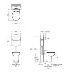 Armitage Shanks Contour 21 Plus Back-To-Wall Rimless Toilet - White with Smartguard