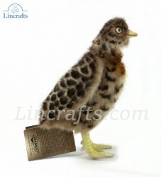 Soft Toy Bird, Plains-Wanderer (19cm.H) 7477