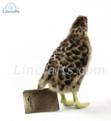 Soft Toy Bird, Plains-Wanderer (19cm.H) 7477