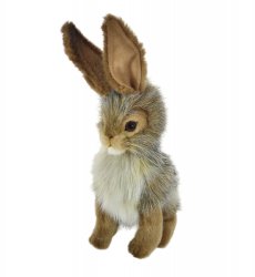 Soft Toy Jack Rabbit, Hare by Hansa (23cm) 3754