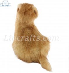 Soft Toy Dog, Norfolk Terrier by Hansa (23cm) 4126