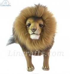 Soft Toy Male Lion Wildcat by Hansa (28cm) 7976