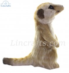 Soft Toy Meerkat by Hansa (22cm) 7883