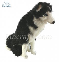 Soft Toy Husky Dog Sitting by Hansa (37 cm.H) 6638