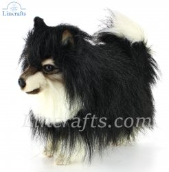 Soft Toy Black Pomeranian Dog by Hansa (36cm.L) 8043