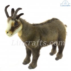 Soft Toy Chamois Goat by Hansa (32cm.L) 6318