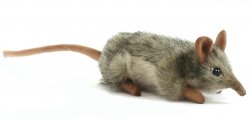 Soft Toy Elephant Mouse (Shrew) by Hansa (18cm) 4110