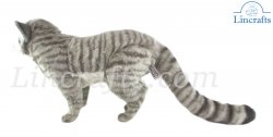 Scottish Wildcat by Hansa (41cm) 7629