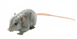 Soft Toy Grey Rat by Hansa (12cm) 5579