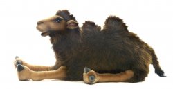 Soft Toy Camel by Hansa (55cm) 4655