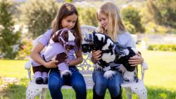 Lemieux Mini Toy Pony - Razzle - Piebald Black & White