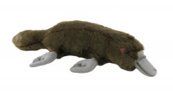 Soft Toy Platypus by Living Nature (36cm) AN681