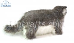 Soft Toy Pallas Cat Standing by Hansa (30cm) 7077