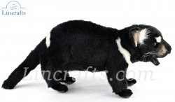 Soft Toy Tasmanian Devil by Hansa (30cm) 4722