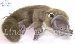 Soft Toy Platypus by Hansa (40cm) 7683