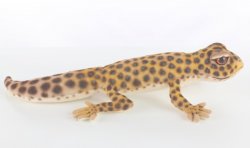 Soft Toy Leopard Gecko by Hansa (26cm) 8140