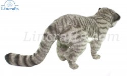 Scottish Wildcat by Hansa (41cm) 7629