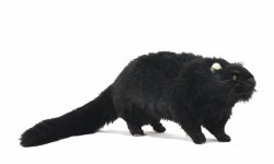 Soft Toy Binturong by Hansa (43cm) 8147