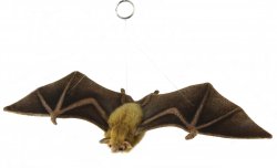 Soft Toy Orange Nectar Bat by Hansa (42cm.W) 8050