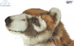 Soft Toy Coatimundi by Hansa (44cm) 8063