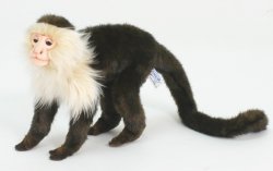 Soft Toy Capuchin Monkey by Hansa (27cm) 5852