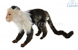 Soft Toy Capuchin Monkey by Hansa (27cm) 5852