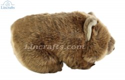 Soft Toy Wombat by Living Nature (25cm) AN683