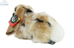 Soft Toy Lop Ear Rabbit by Living Nature (25cm) AN316b