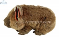 Soft Toy Wombat by Living Nature (25cm) AN683