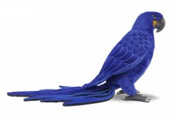 Soft Toy Bird, Hyacinth Macaw by Hansa (65cm) 7370