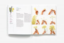 Exquisite Book of Paper Flower Transformations