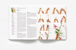 Exquisite Book of Paper Flower Transformations