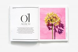 Exquisite Book of Paper Flower Transformations