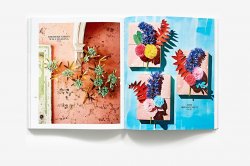 Exquisite Book of Paper Flower Transformations