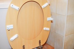 Fix-a-Seat (Toilet)