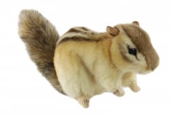Soft Toy Chipmunk by Hansa (25cm) 7843