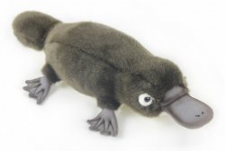 Soft Toy Platypus by Hansa (43cm) 3664