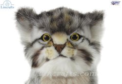 Soft Toy Cat, Pallas Kitten by Hansa (31cm.L) 7299