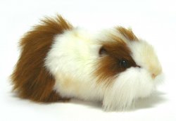 Soft Toy Brown & White Guinea Pig by Hansa (30cm) 3245