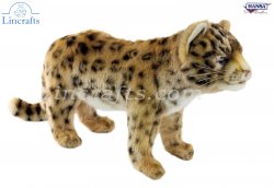 Soft Toy Amur Leopard Cub Wildcat by Hansa (24cm.L) 7943