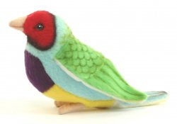 Soft Toy  Bird, Gouldian Finch by Hansa (11cm.L) 5692