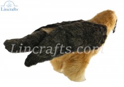 Soft Toy Bird, Bearded Vulture by Hansa (47cm.L) 7636