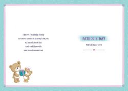 Father's Day Card - Deluxe Boxed - Daddy Little Princess - 3D Glitter - Regal