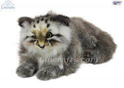 Soft Toy Pallas Cat by Hansa (44cm.L) 7080