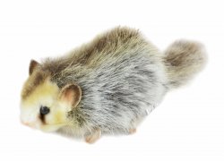 Soft Toy Japanese Dormouse by Hansa (16cm.L) 8138
