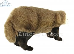 Soft Toy Japanese Badger by Hansa (56cm.L) 8148