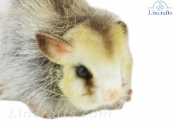 Soft Toy Japanese Dormouse by Hansa (16cm.L) 8138