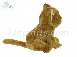 Soft Toy Lion Wildcat Cub by Hansa (18cm) 7290
