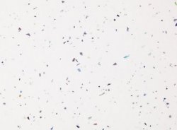 Bushboard Nuance White Quartz 580mm Feature Panel